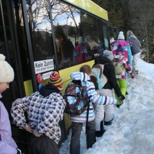 Wildtierfütterung 2. Klassen
