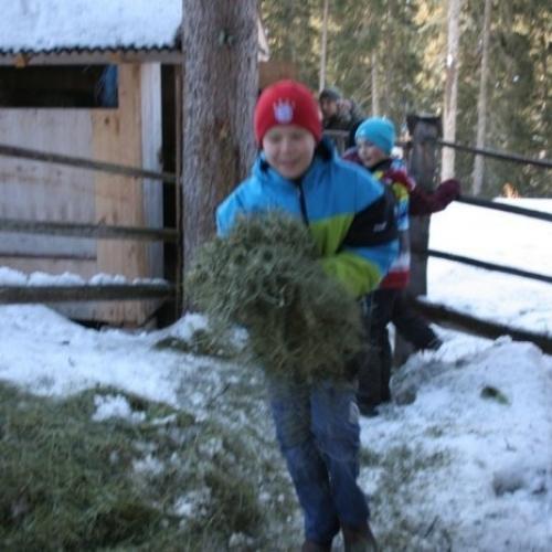 Wildtierfütterung 2. Klassen