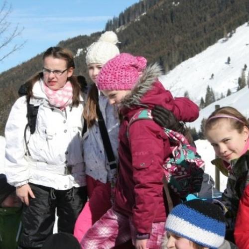 Wildtierfütterung 2. Klassen