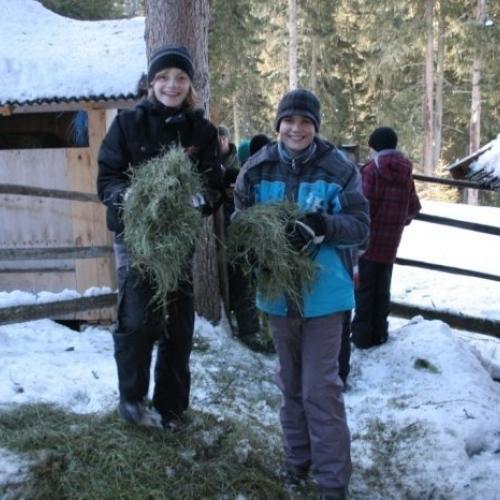 Wildtierfütterung 2. Klassen