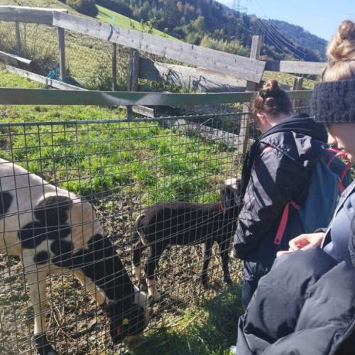 Wandertag 4a/4b - Herbst 2022