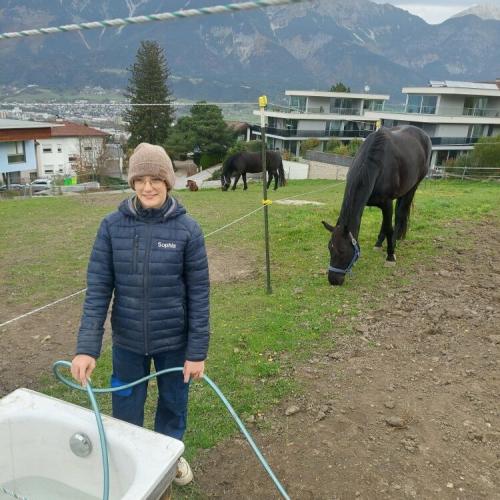 Berufspraktische Tage der 4. Klassen - Schnuppern