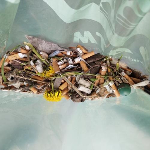 Flurreinigung am 17.04.2023