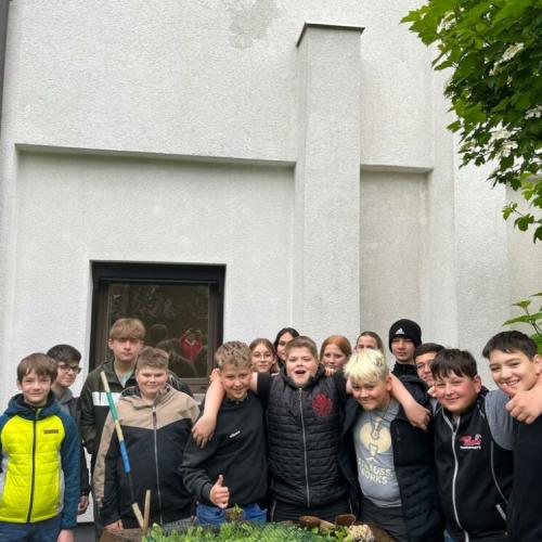 Radieschen - Projekt der 3. Klassen
