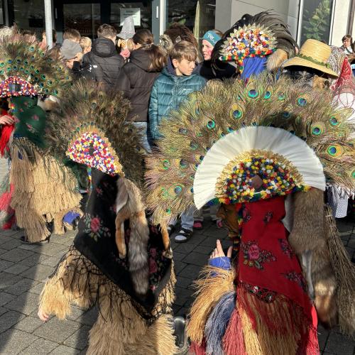 Unsinniger Donnerstag 08.02.2024