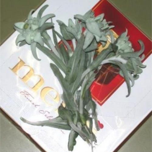 Schulschluss - 03.07.2003 -