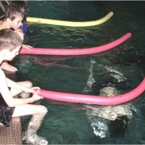 Schwimmtag 1. Klasse - 03.02.2003 -