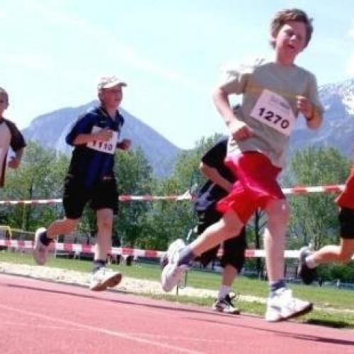 Sportveranstaltungen im Schuljahr 2001/2002