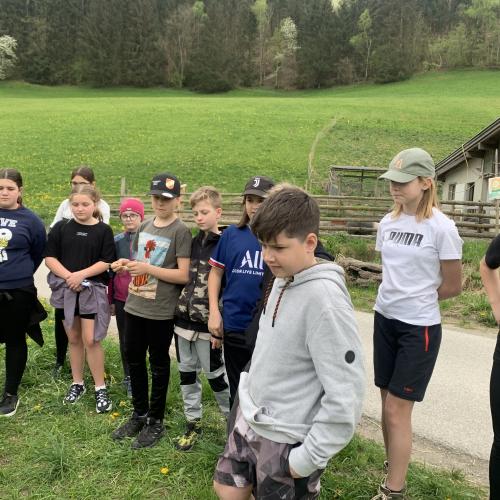 Schule am Bauernhof 2ab - 08.04.2024 -