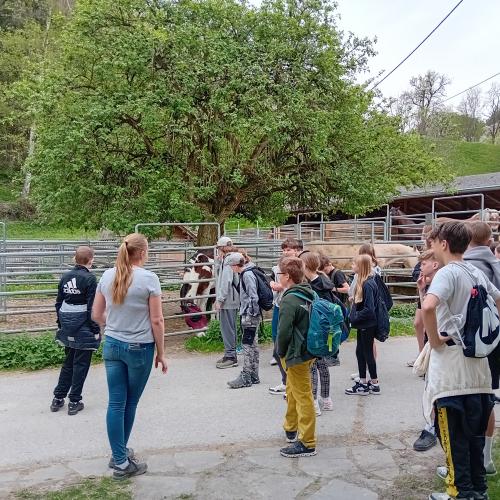 iologieunterricht zum Anfassen- Exkursion zum Kohlerhof und zum Lachhof