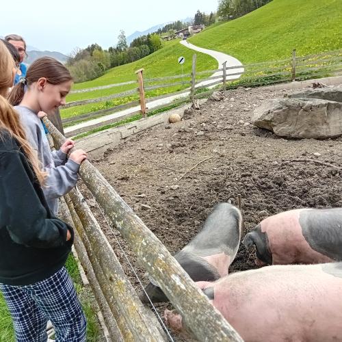 iologieunterricht zum Anfassen- Exkursion zum Kohlerhof und zum Lachhof