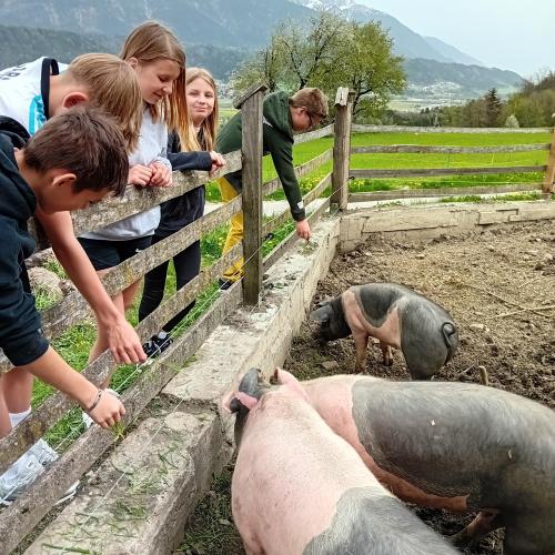 iologieunterricht zum Anfassen- Exkursion zum Kohlerhof und zum Lachhof