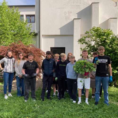 Update aus dem Schulgarten