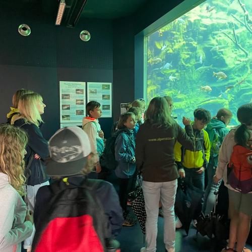 Alpenzoo ab