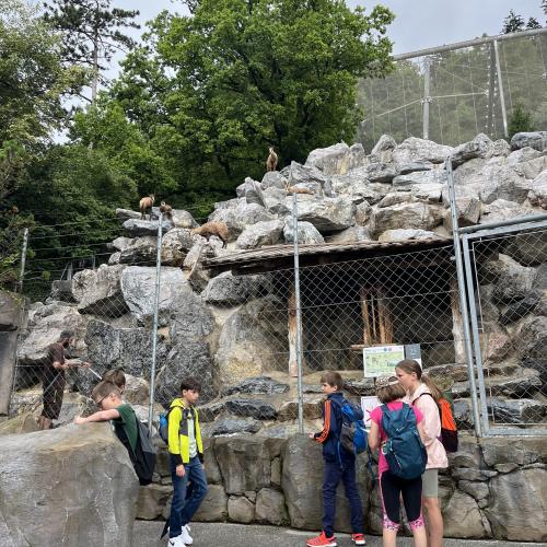 Alpenzoo ab