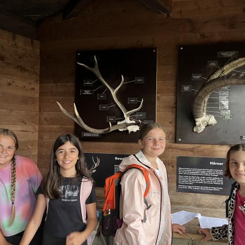Alpenzoo ab