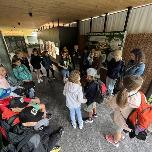 Alpenzoo ab