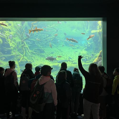 Alpenzoo ab