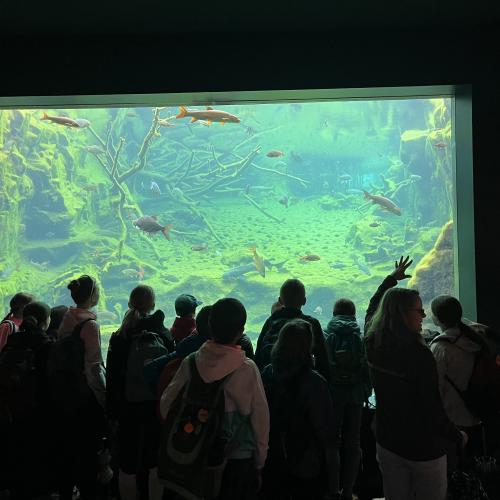 Alpenzoo ab
