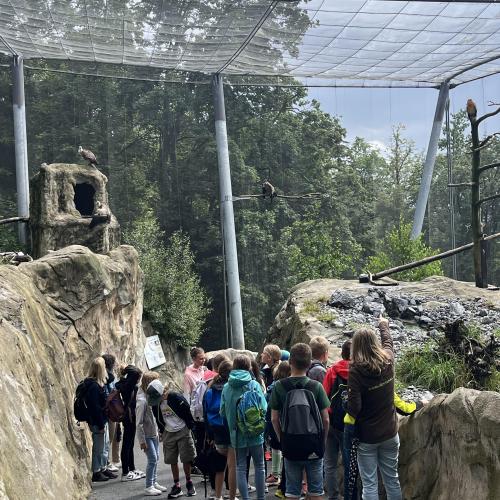 Alpenzoo ab