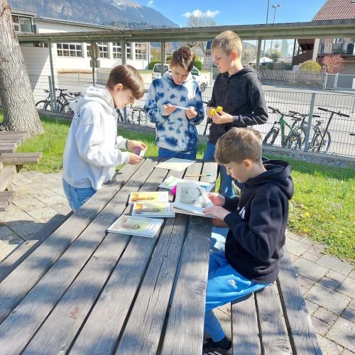 Ostereiersuche im Fach Deutsch für die 2. Klassen