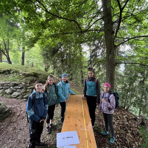 Waldolympiade 2ab - 27.Mai 2025 -