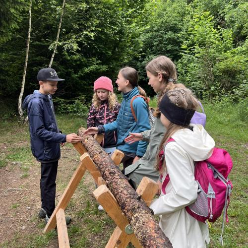 Waldolympiade 2ab - 27.Mai 2025 -