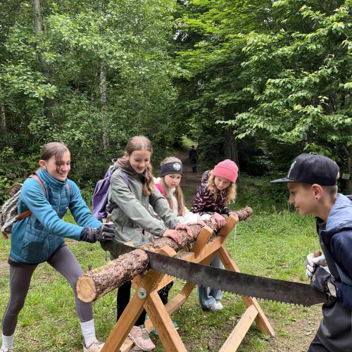 Waldolympiade 2ab - 27.Mai 2025 -