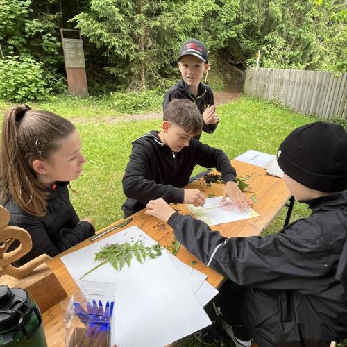 Waldolympiade 2ab - 27.Mai 2025 -