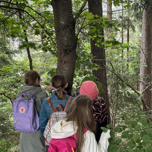 Waldolympiade 2ab - 27.Mai 2025 -