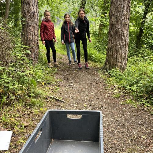 Waldolympiade 2ab - 27.Mai 2025 -