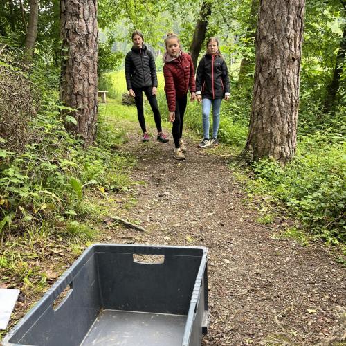 Waldolympiade 2ab - 27.Mai 2025 -