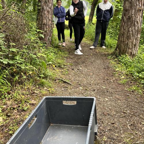 Waldolympiade 2ab - 27.Mai 2025 -