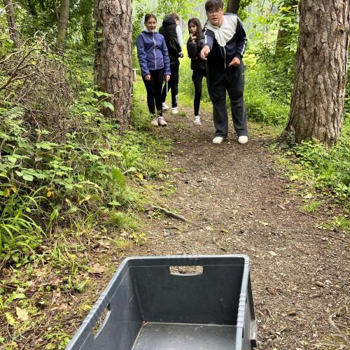 Waldolympiade 2ab - 27.Mai 2025 -