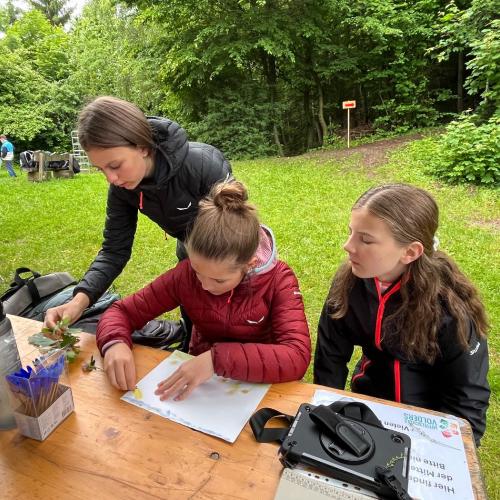 Waldolympiade 2ab - 27.Mai 2025 -