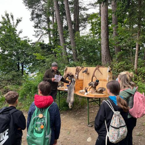 Waldolympiade 2ab - 27.Mai 2025 -