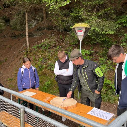 Waldolympiade 2ab - 27.Mai 2025 -
