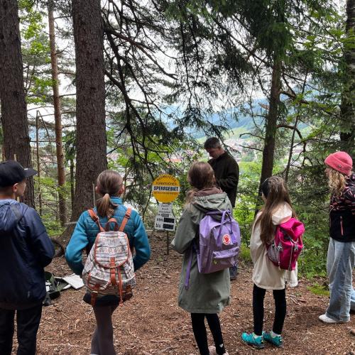 Waldolympiade 2ab - 27.Mai 2025 -