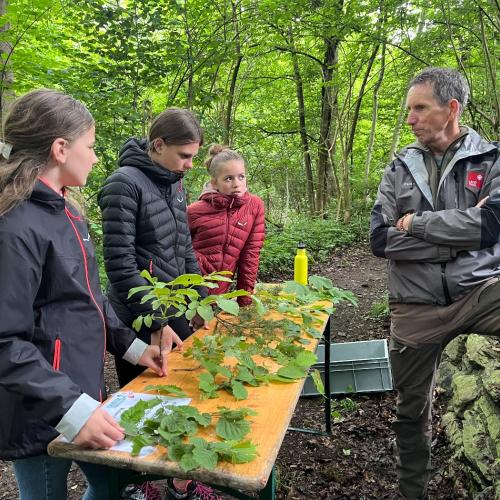 Waldolympiade 2ab - 27.Mai 2025 -