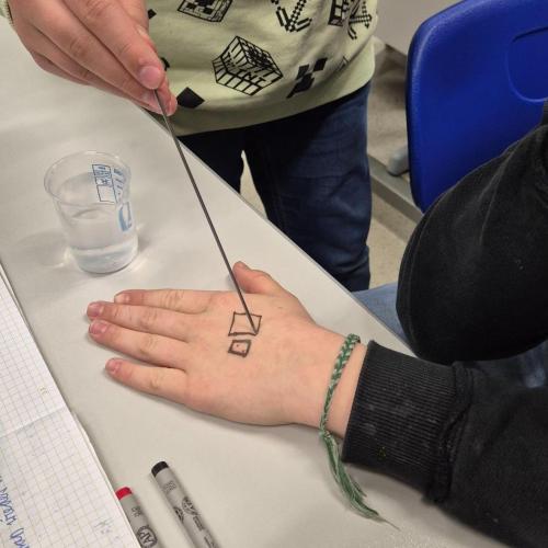 Physik-Projekt: Wir erleben unsere Sinne