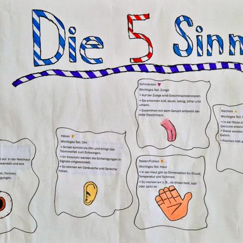 Physik-Projekt: Wir erleben unsere Sinne