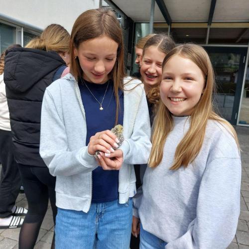 Referate 3. Klassen