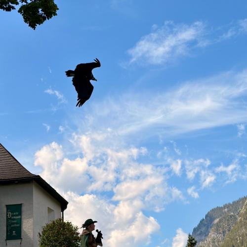 Sommer- und Kultursportwoche 3ab