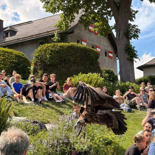 Sommer- und Kultursportwoche 3ab