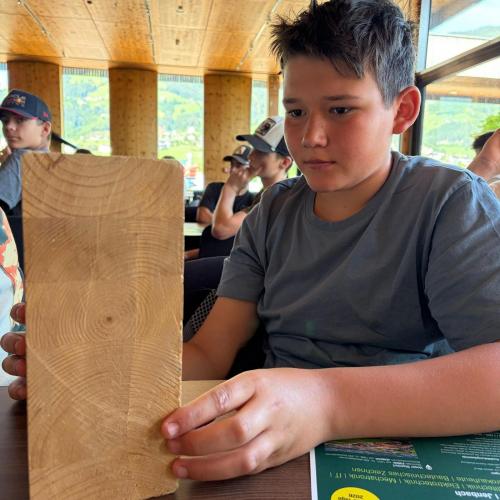 Binderholz - Faszination Holz