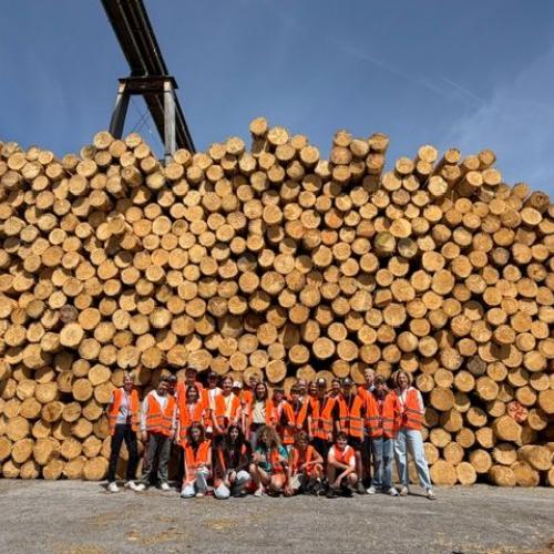 Binderholz - Faszination Holz