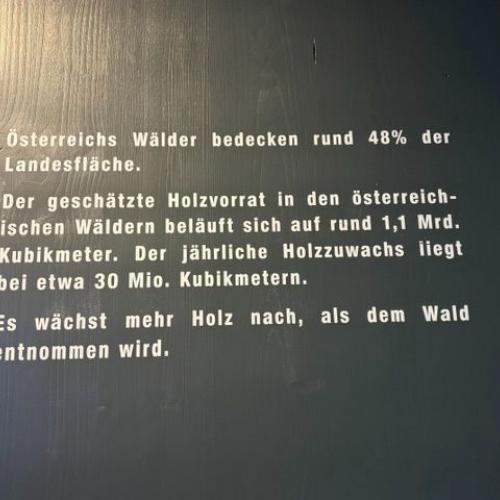 Binderholz - Faszination Holz