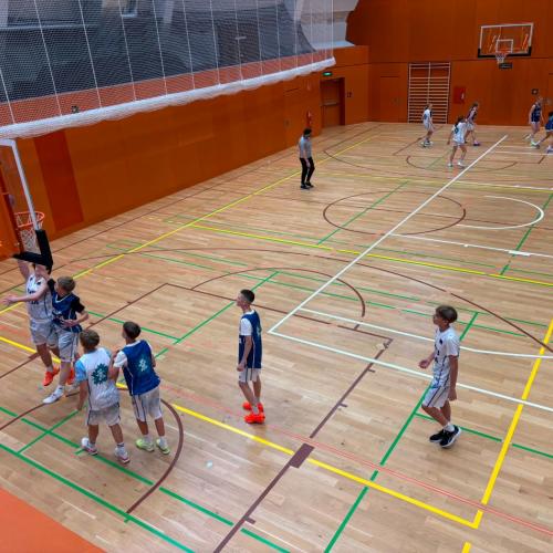 Bundesmeisterschaft Basketball 2025/26