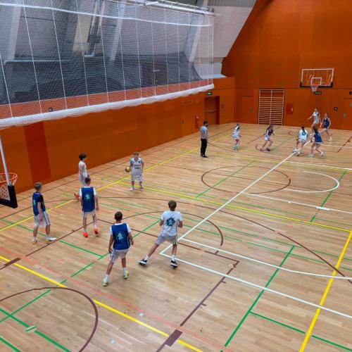 Bundesmeisterschaft Basketball 2025/26
